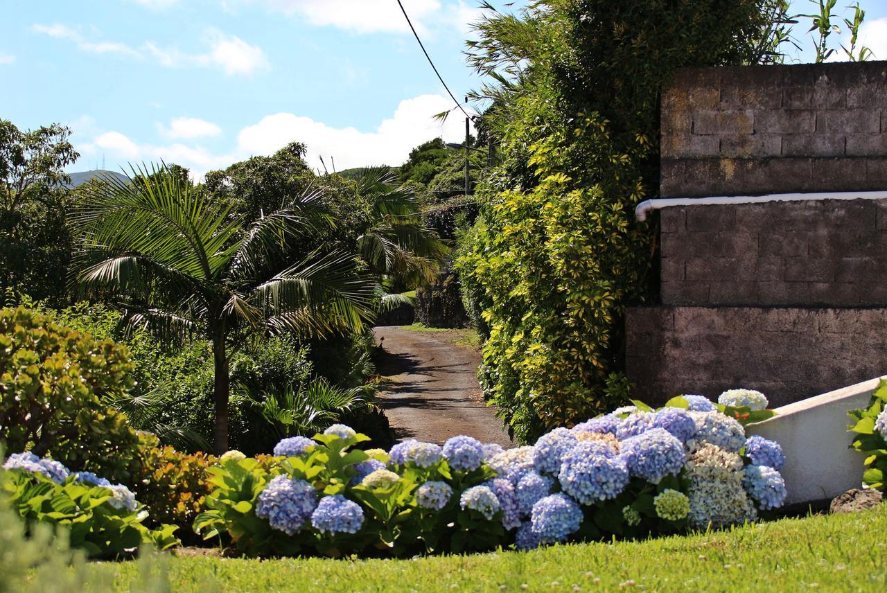 Casas Da Boa Vista Holiday home *